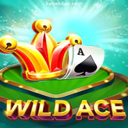 Exploring the Thrilling Universe of WildAce